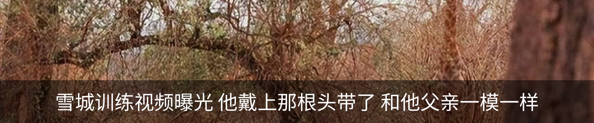 资讯中心